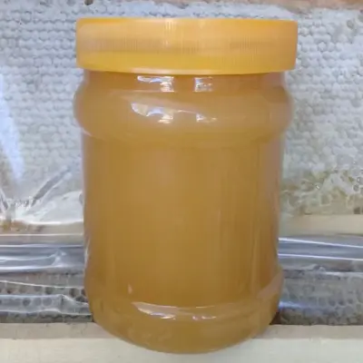 خرید عسل رس‌بسته (عسل رست) اصل 🐝 | طعم واقعی عسل طبیعی