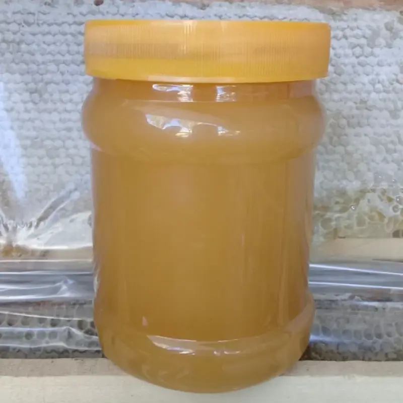خرید عسل رس‌بسته (عسل رست) اصل 🐝 | طعم واقعی عسل طبیعی