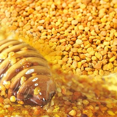 معجون گرده گل و عسل طبیعی سبلان